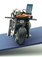RC Tank 3D Printing Bike Cubli Balance Motorcycle APP Control 2WD Robotic Car for STM32 Programmable Robot Kit Robot Car Project