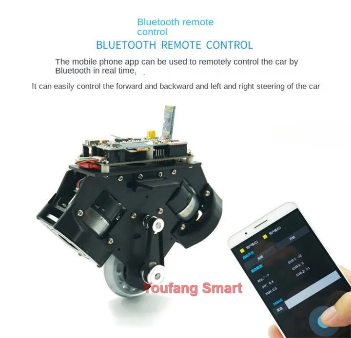 RC Tank Unicycle 3D Printing Smart Car for STM32 Robot  Kit Open Source Code APP Control Unicycle Balance Programmable Robot Car