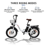 CT20 E Bike Folding 750W Motor 48V20Ah Samsung Battery Adjustable Speed Electric Bicycle 20*4.0 Inch CST Fat Tire Electric Bike