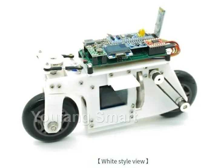 RC Tank 3D Printing Bike Cubli Balance Motorcycle APP Control 2WD Robotic Car for STM32 Programmable Robot Kit Robot Car Project