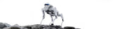 Cyberstars Cyber1 Quadruped Robot – High-Performance Robotic Dog  Smart Robotic Dog for Home & Education  45N·m Torque, 6 Tops AI
