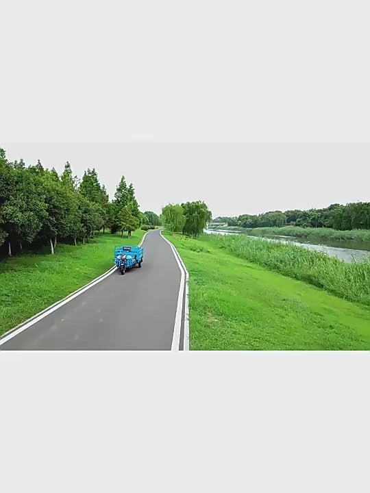 Europe and America Popular High Quality 1000w Three Wheels Triciclo Electric Cargo Tricycle Electric Cargo Tricycle