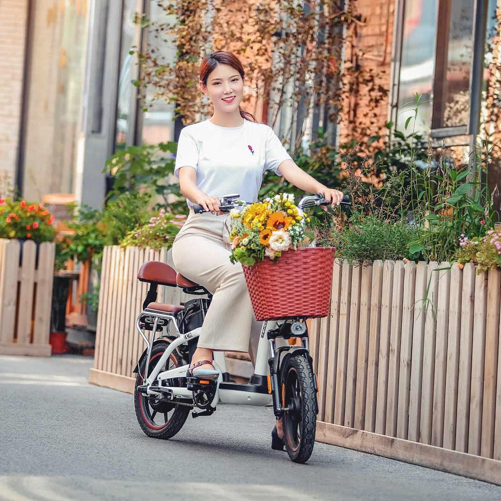 HIMO C16 12Ah 48V 250W 16 Inches Electric Bike From Xiaomi Youpin 25km/h 55km Mileage Electric Bicycle Max Load 100kg - Khaki