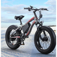 Factory supply Electric Mountain fet bike Ebike 20-inch 7-speed 48V lithium battery 10AH ebike