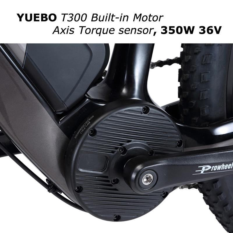 wholesale Adult Electric Bike Carbon Electric mountain bike Powerful ebike Electric bicycle with Shimano M8000 and 350w 36v Battery