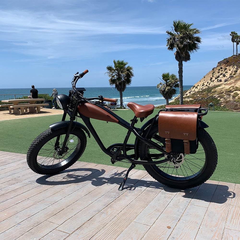 Bisek New Design Big Tires Leopard Ebike Innovative Electric Bike With CE For Adults