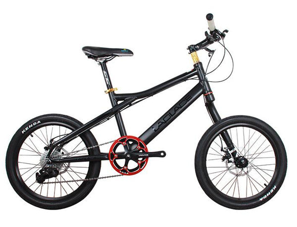 20in Bike 8 Speeds 24 Speeds Suspension Frame Bicycle Mechanical Disc Brake Bicycle