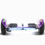 Daibot Off Road Electric Scooter Foldable 2 Wheels Self Balancing Scooters Dual Drive 250W 36V Hoverboard Skateboard Bluetooth