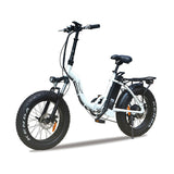 America best sale free shipping 7 Speed Derailleur electric bicycle 20 inch Fat tire e bike with 500w rear brushless motor