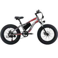 Factory supply Electric Mountain fet bike Ebike 20-inch 7-speed 48V lithium battery 10AH ebike