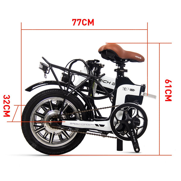 Rich Bit Ebike RT-619 14 Inch Folding Electric Bike 250W 36V 10.2AH Li