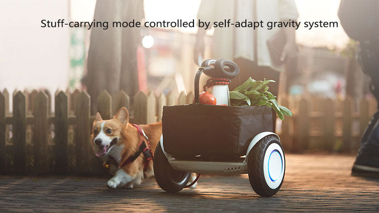 Xiaomi Mini PLUS Scooter Smart Balance Scooter 2 Wheel Electric Scooter Electric Skateboard App Two Wheel Self Balancing Scooter easy-smart-way.myshopify.com