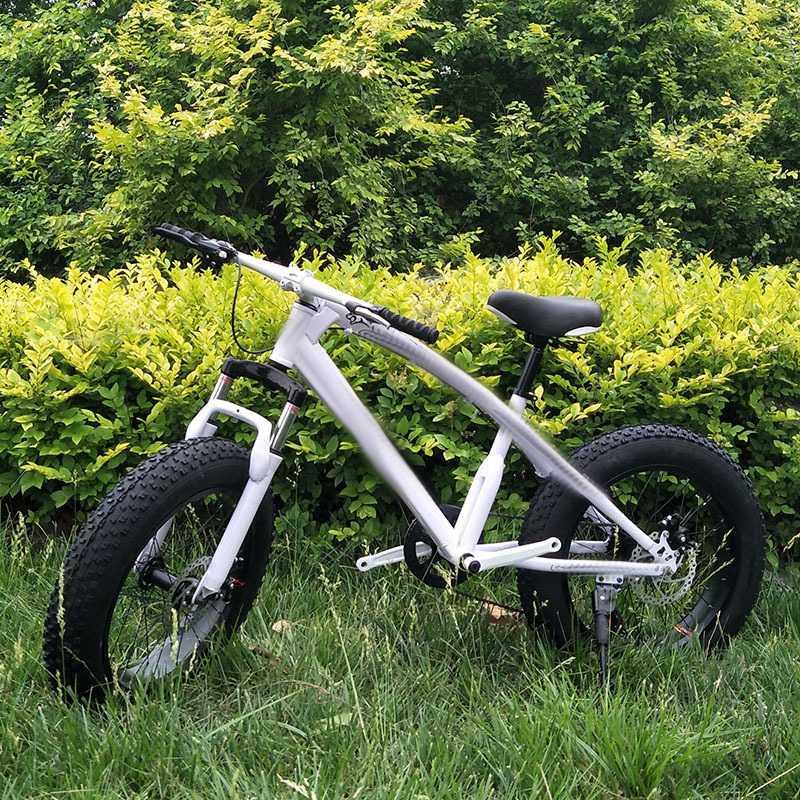26 "snowmobile 4.0 big wide thick tire mountain bike absorption double disc brake integrated wheel beach road bike