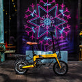Rich Bit Ebike RT-619 14 Inch Folding Electric Bike  250W 36V 10.2AH Li-ion Battery 5 Level Pedal Assist With Rear luggage rack