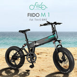 Electric bicycle electric mountain bike 4.0 fat tire electric bicycle beach