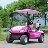 Environment Friendly 2 Seater Electric Golf Cart Mini Club Car