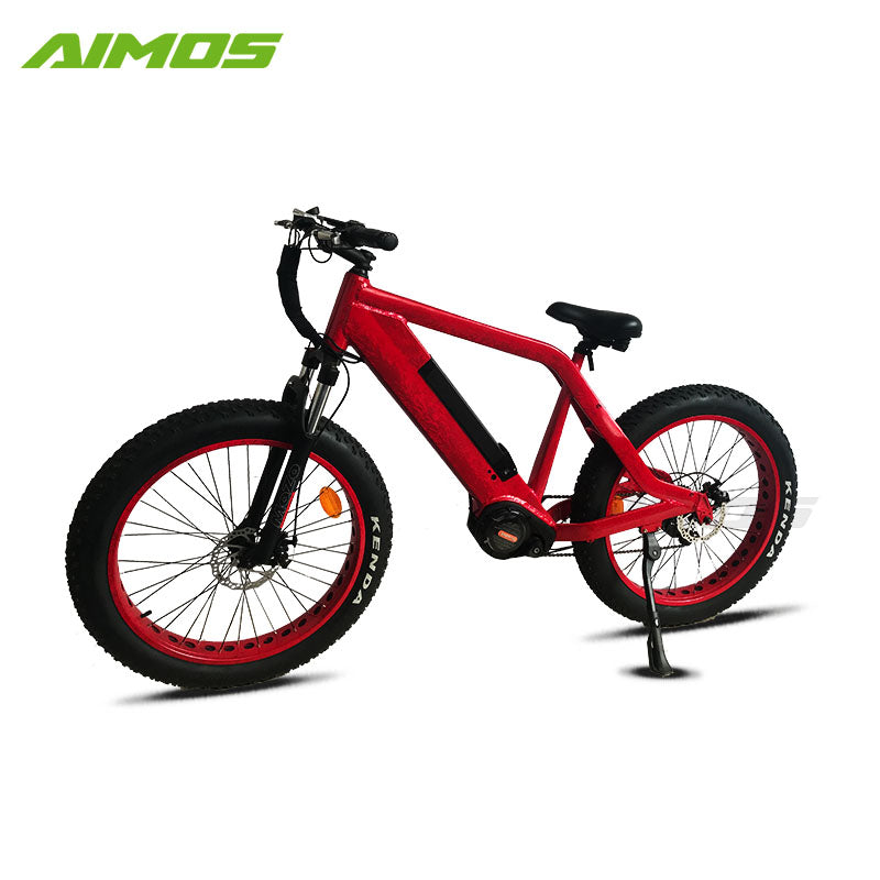hidden battery electric bike bicycle with sopked wheels