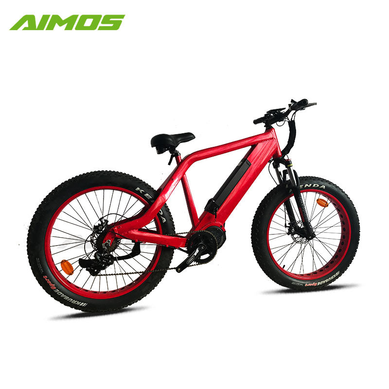 hidden battery electric bike bicycle with sopked wheels