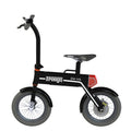 Good Price Easy Carry Short and Foldable body Stock E Bike 250W Electric Bicycle