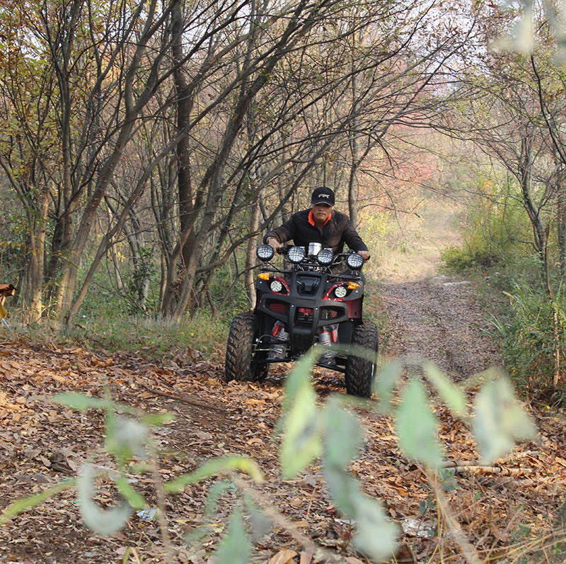 New Design Adult ATV 60V 1200W Electric Quad Bike