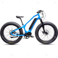 New Arrivals China Ansbern Bafang MM G510 48V 750W/1000W Cheap Mid Drive Fat Tire Electric Bike Mountain