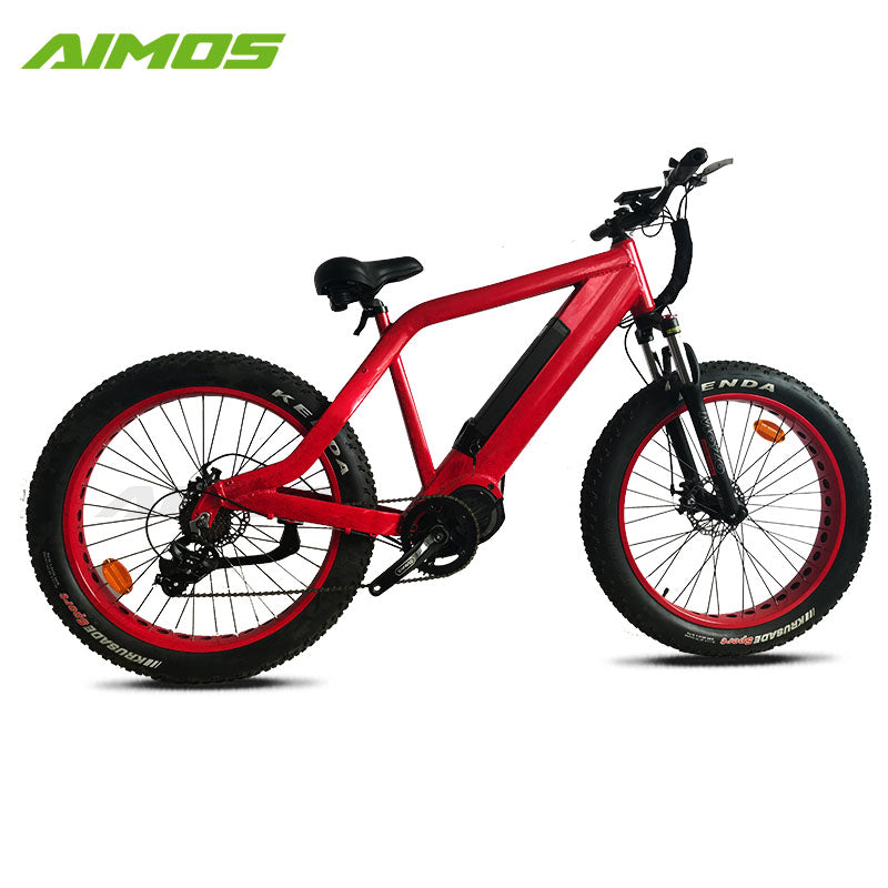 hidden battery electric bike bicycle with sopked wheels