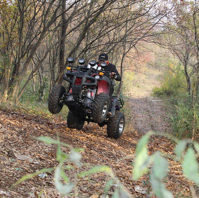 New Design Adult ATV 60V 1200W Electric Quad Bike