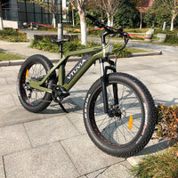 Super Electric Bike 26 Inch Fat Electric Bicycle 48V 500W 750W 1000 W Motor Aluminium Alloy Frame 7 Speed