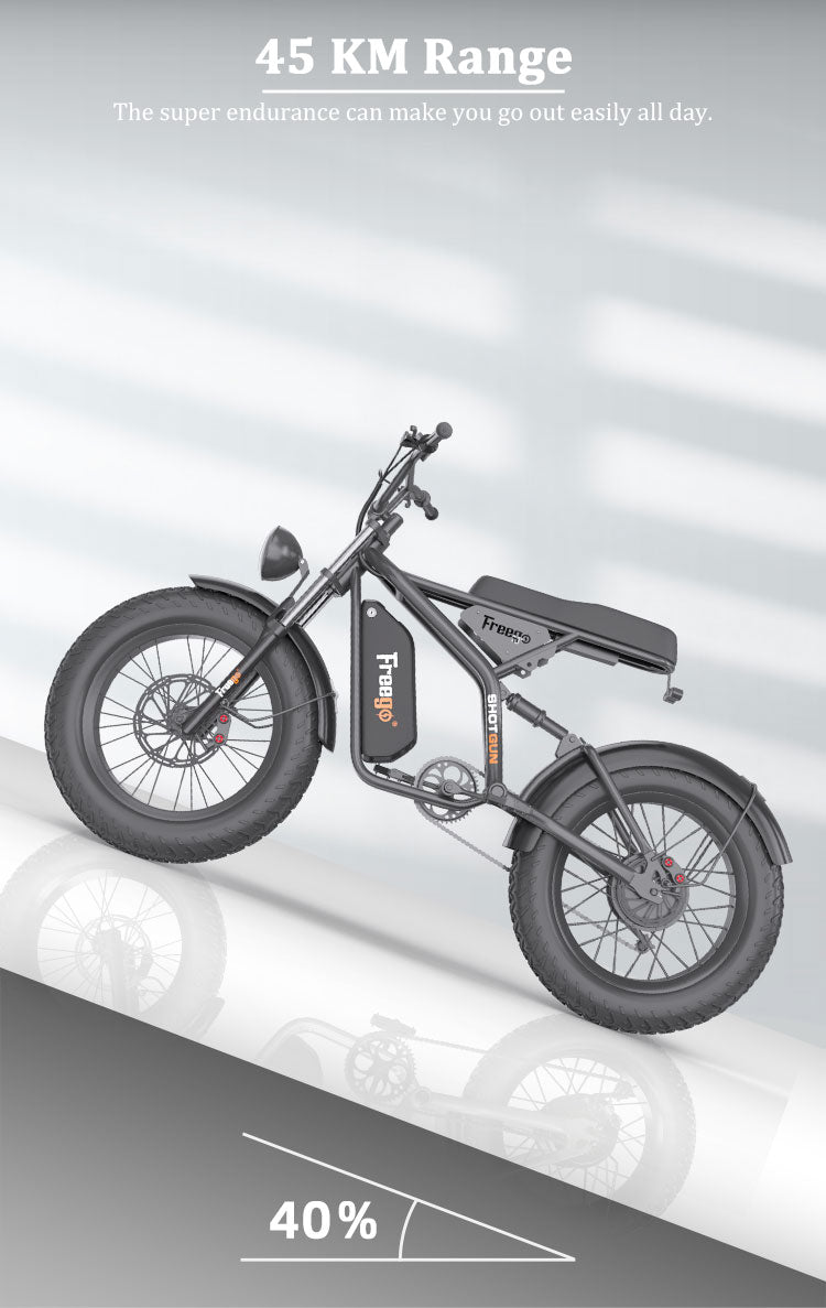 FREEGO New Design High 1000W Power Off Road Ebike 20inch Fat Tire Hybrid Electric Bike for Adult