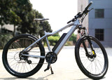 Top Quality Electric Bicycle 26" MTB E-Bike Adults City Bike With 48V 10.4Ah battery