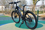 Top Quality Electric Bicycle 26" MTB E-Bike Adults City Bike With 48V 10.4Ah battery