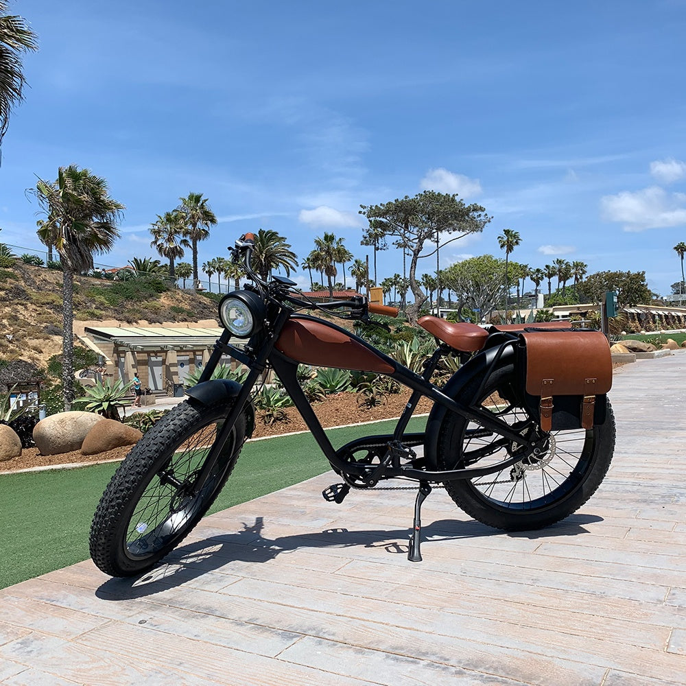 Bisek New Design Big Tires Leopard Ebike Innovative Electric Bike With CE For Adults