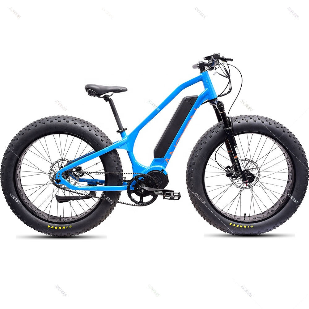 New Arrivals China Ansbern Bafang MM G510 48V 750W/1000W Cheap Mid Drive Fat Tire Electric Bike Mountain