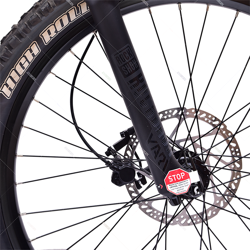 New Design China Ansbern Full Suspension 48V 1000W Mid Drive Bafang G510 Electric Mountain Bike