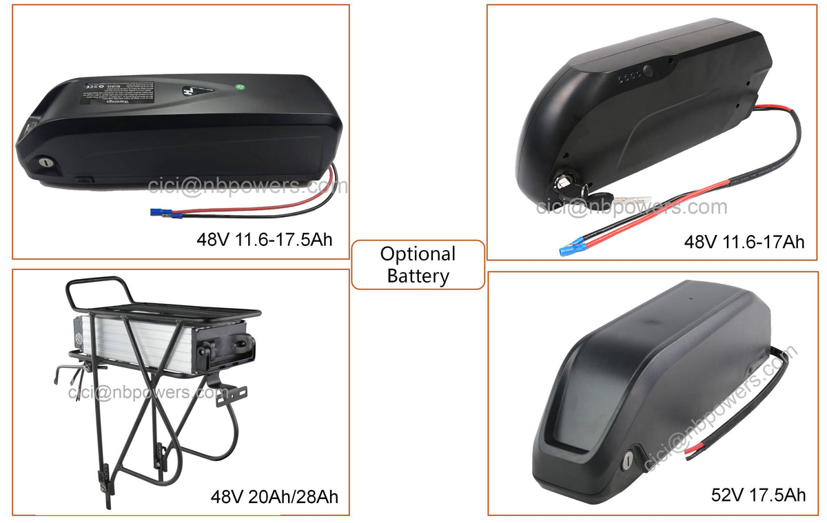 qs212 1200w 48V 52V BLDC Rear Wheel Bicycle Conversion Electric Bike Kit with Battery