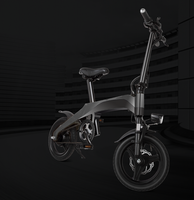 Extraordinary EcoRider E6-2 Electric Bicycle 350W Electric Bike Sports E-Bike (US Warehouse)