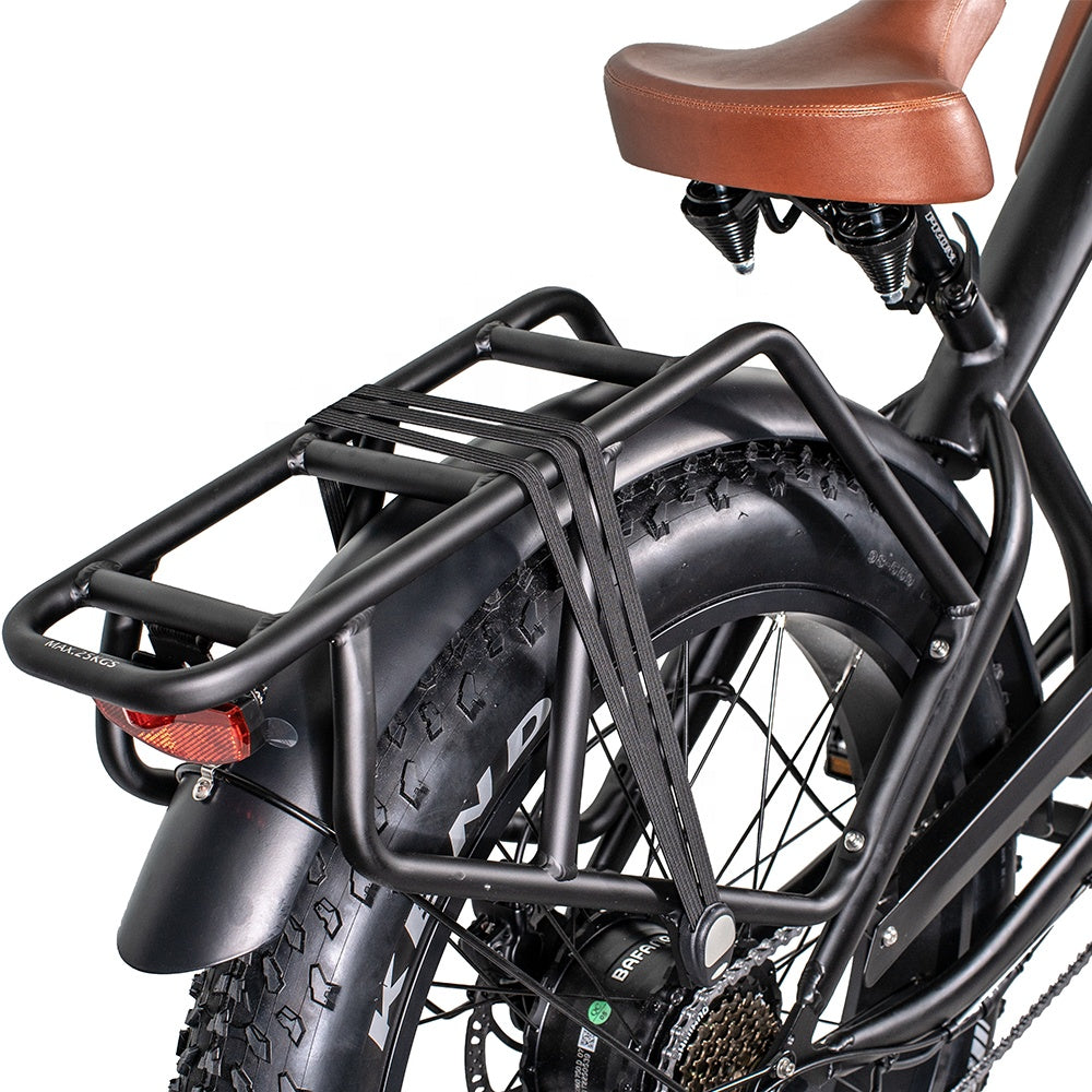 Bisek New Design Big Tires Leopard Ebike Innovative Electric Bike With CE For Adults
