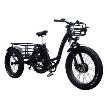High quality e-bike 3 wheel 48V 500W 750W electric fat tire tricycle fat tyre electric trike