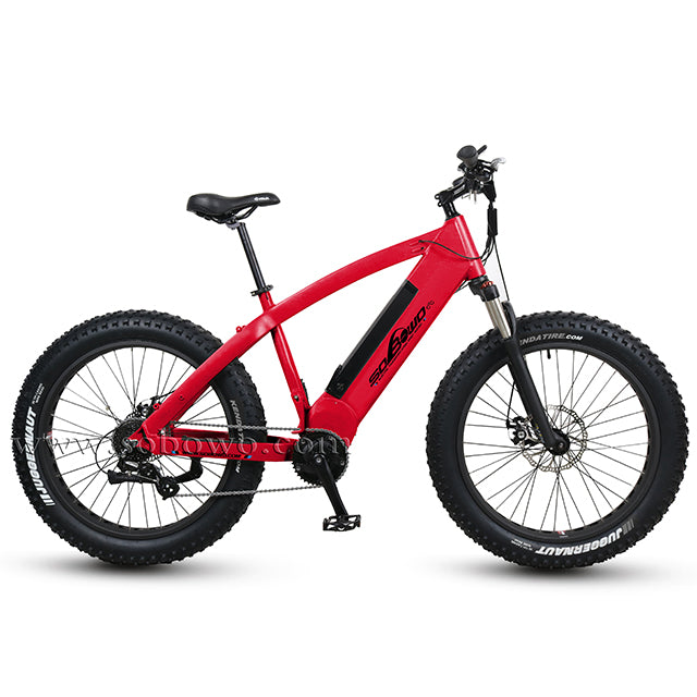 48V 1000W Bafang BBSHD Mid Drived Motor Bike With LCD Display