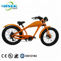 Bisek New Design Big Tires Leopard Ebike Innovative Electric Bike With CE For Adults