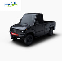 Hottest Electric Truck/ Electric Pickup Truck/Electric Car with  EEC