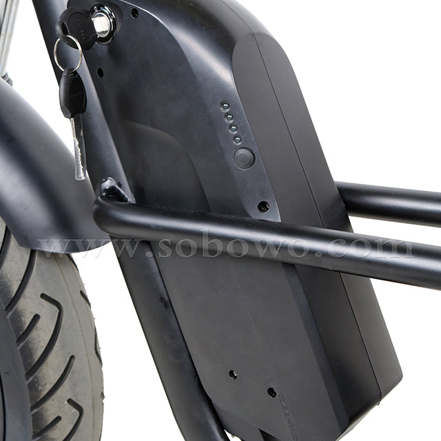 SOBOWO S68 unique design double battery electric fat bike