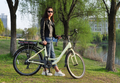 26inch 36V250W electric bicycle,  e-bike,step through city e bike