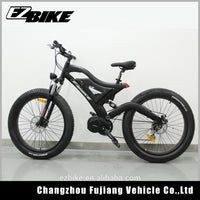 Bafang 48V Electric Mountain Bike 1000W Mid Drive E Bike/Fat Tire Electric Bike