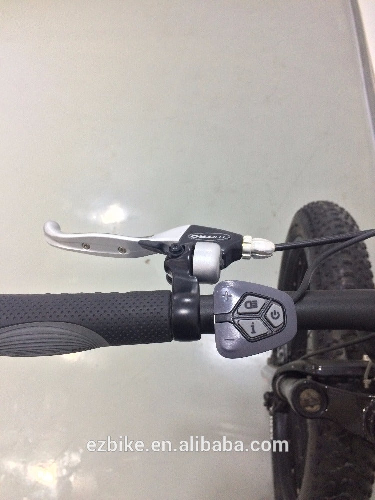 Bafang 48V Electric Mountain Bike 1000W Mid Drive E Bike/Fat Tire Electric Bike