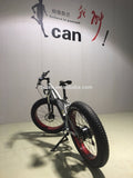 Electric fat tire mountain bike/stealth bomber electric bike with mid driving motor