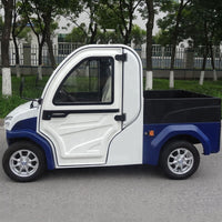 New Electric Car Electric Utility Vehicle with Cargo Box