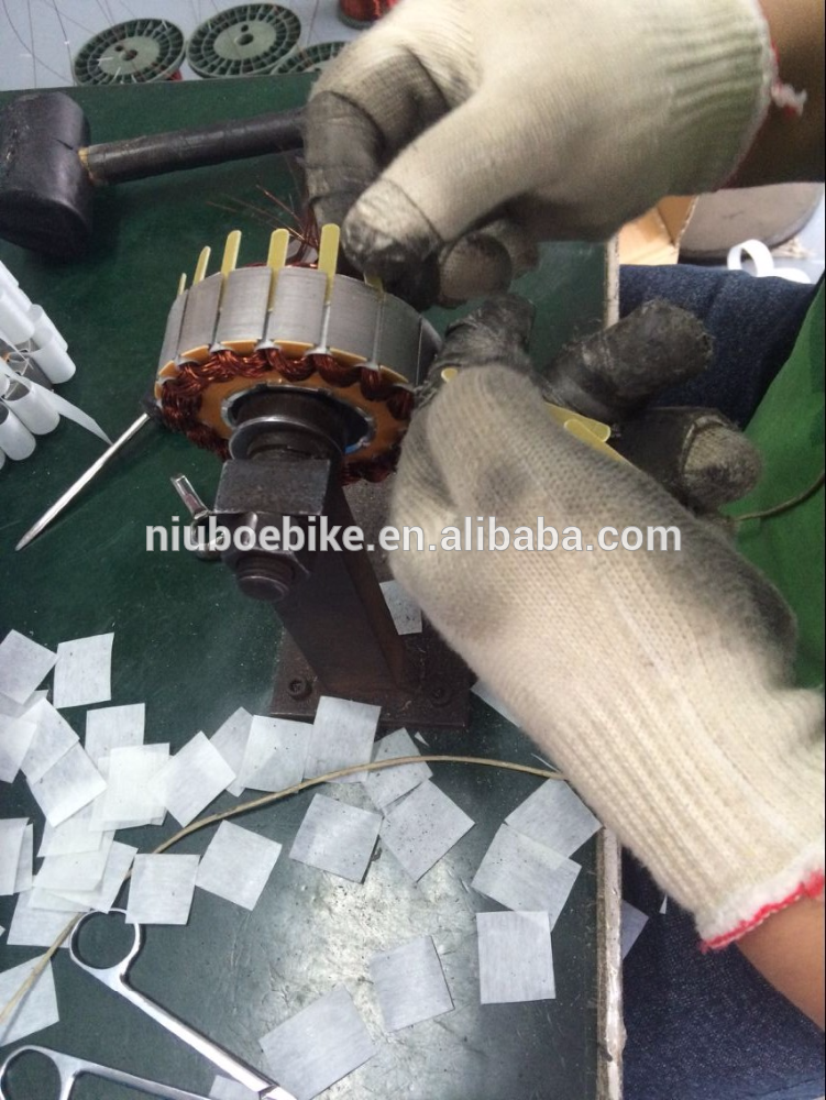 48V 1500W BLDC Hub Motor for Electric Motorcycle