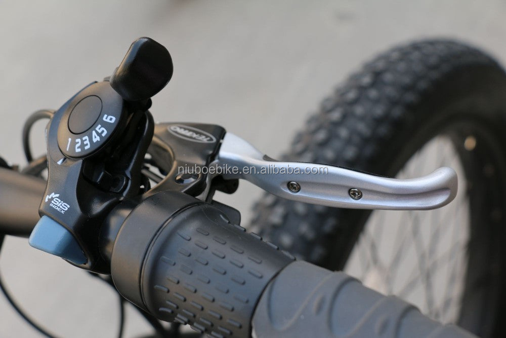 Bafang 48V 500W Motor Fat Tire Electric Bike,48V13Ah Lithium Battery for Electric Bike Fat Tire