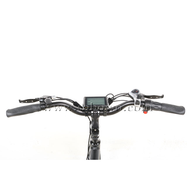SOBOWO C19 unique design double battery electric cargo bike